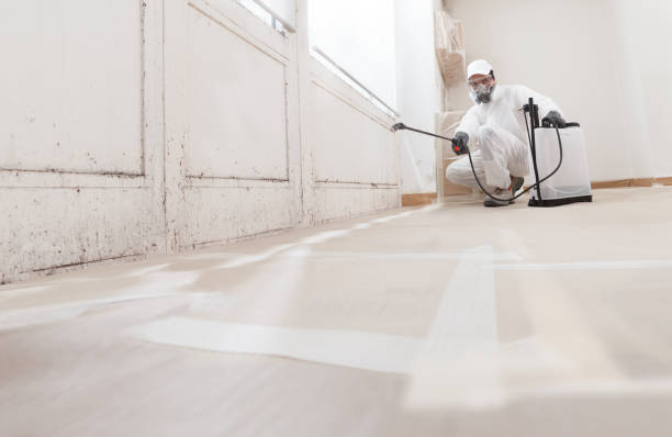 24/7 Emergency Black Mold Remediation experts in Nutley, NJ