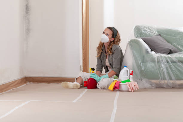 Reliable Black Mold Remediation contractor in Nutley, NJ by 24 Hour Mold Removal